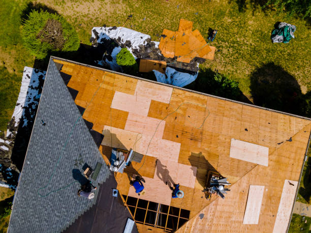 Best Commercial Roofing Services  in Thornton, IL