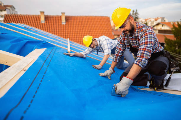 Best Roof Leak Repair  in Thornton, IL